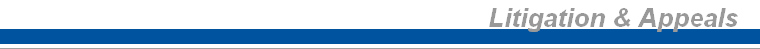 Litigation & Appeals